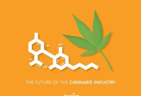 The Future of the Cannabis Industry