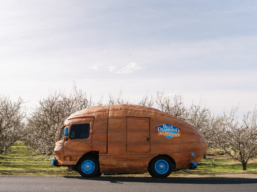 blue-diamond-nutty-cruiser-wide-shot-at-almond-orchard